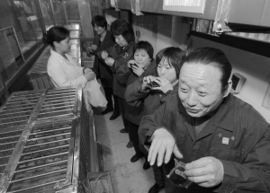 杭州半數農貿市場關閉家禽區，家禽銷售模式迎來轉型